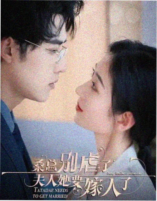 雾港档案 悬疑电视剧在线观看